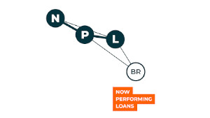 npl brasil